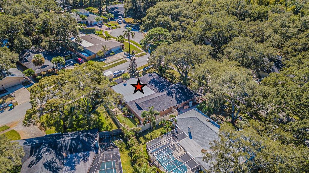 Palm Harbor, Florida, 34683, United States, 4 Bedrooms Bedrooms, ,3 BathroomsBathrooms,Residential,For Sale,1974920