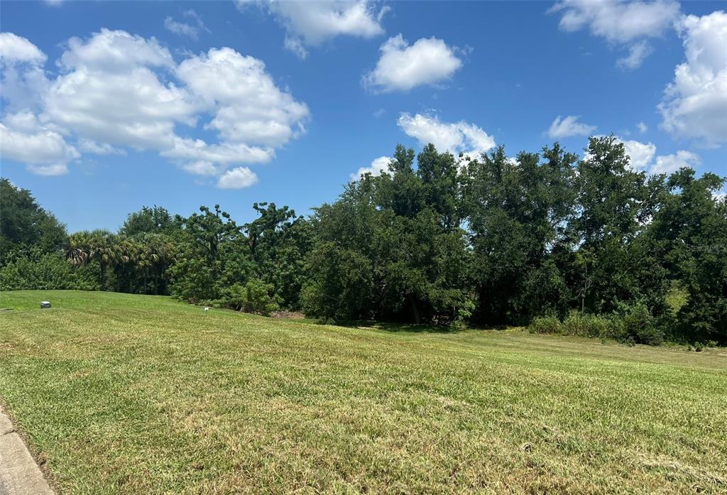 Windermere, Florida, 34786, United States, ,Land,For Sale,1885858