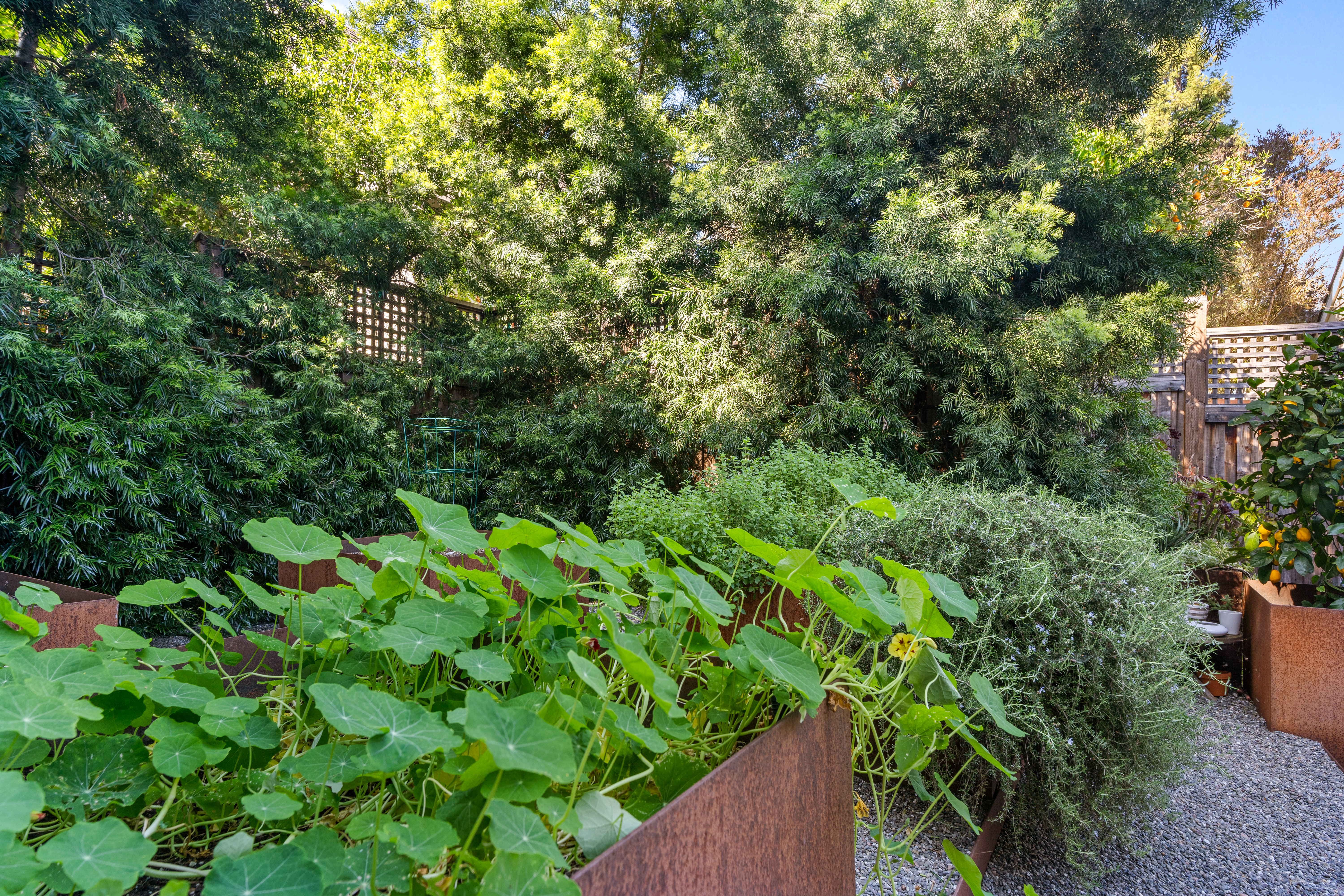  Wine Country Living at Its Finest - 物件實景