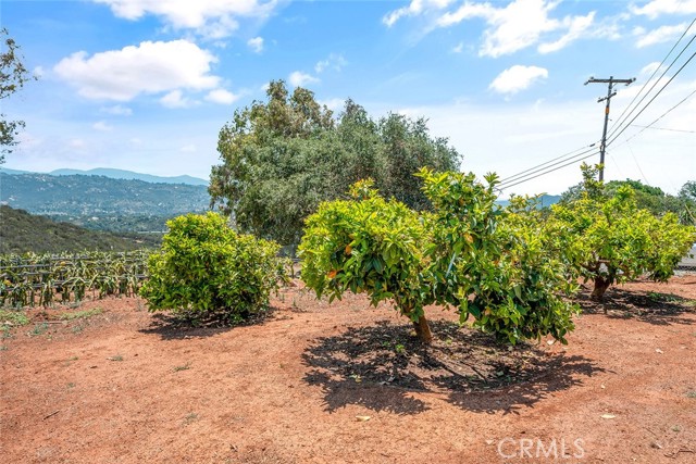 Fallbrook, California, 92028, United States, 2 Bedrooms Bedrooms, ,3 BathroomsBathrooms,Residential,For Sale,1979251