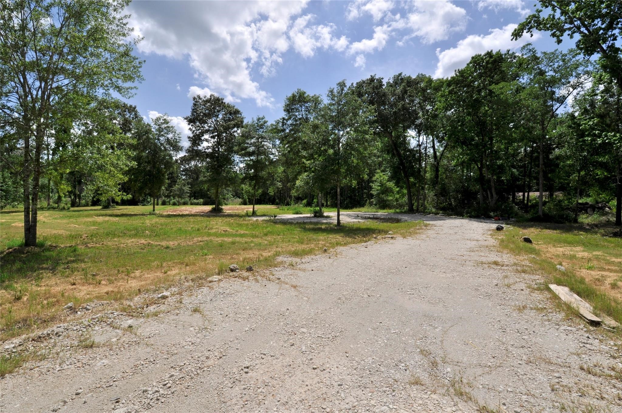 Magnolia, Texas, 77355, United States, ,Land,For Sale,1896028