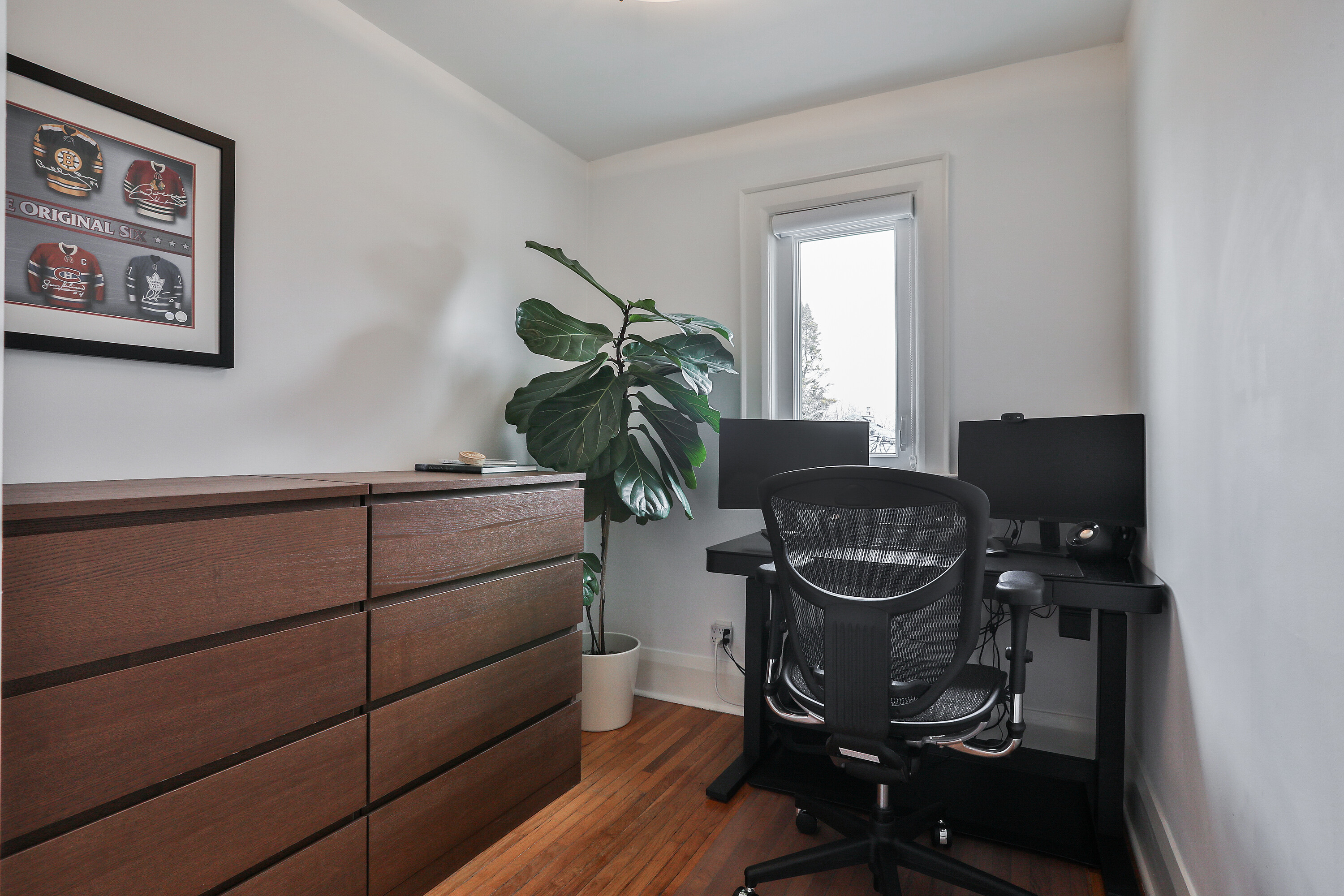  64 Robina Ave - 物件實景