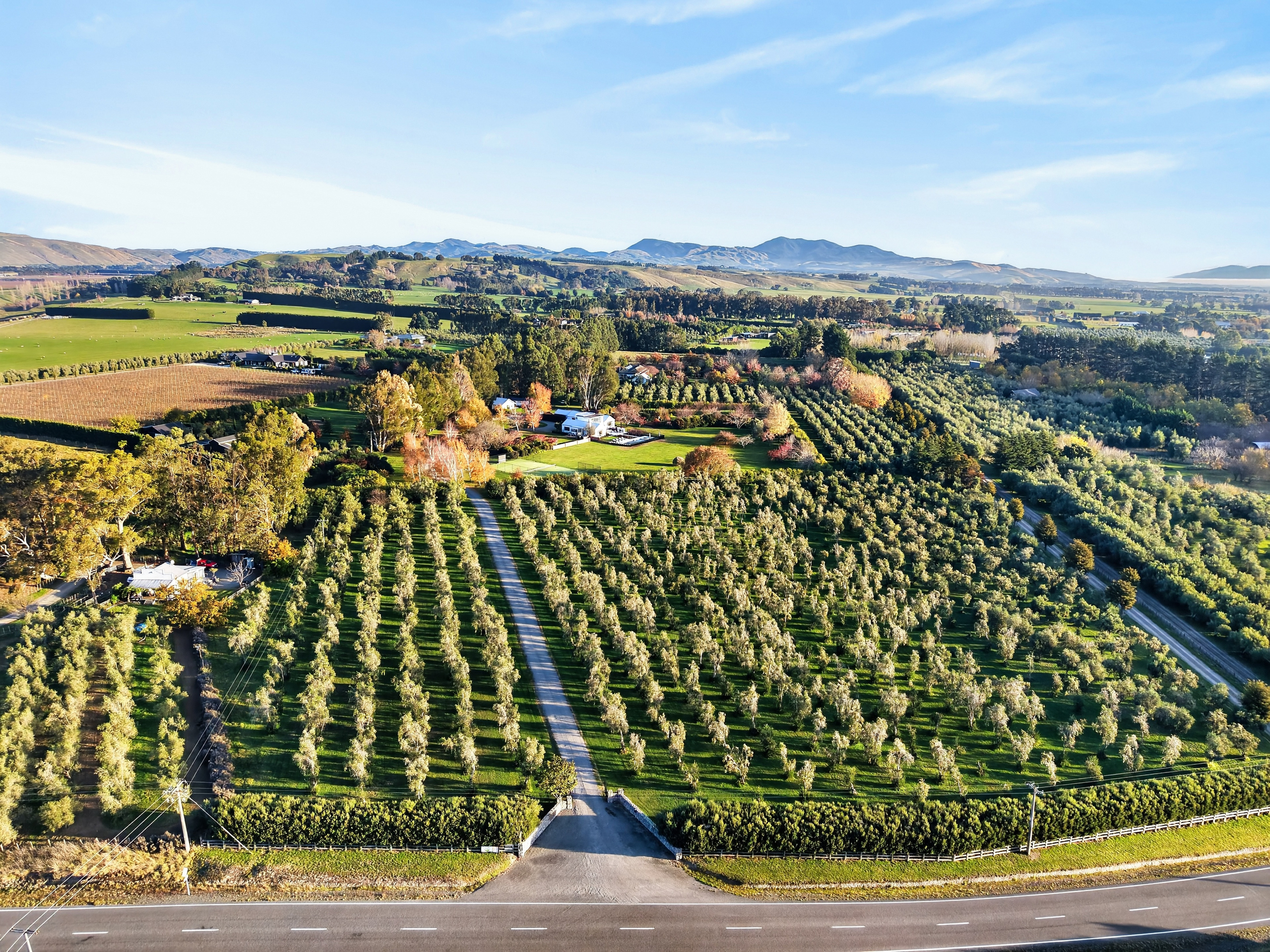  Atireira Estate - 物件實景