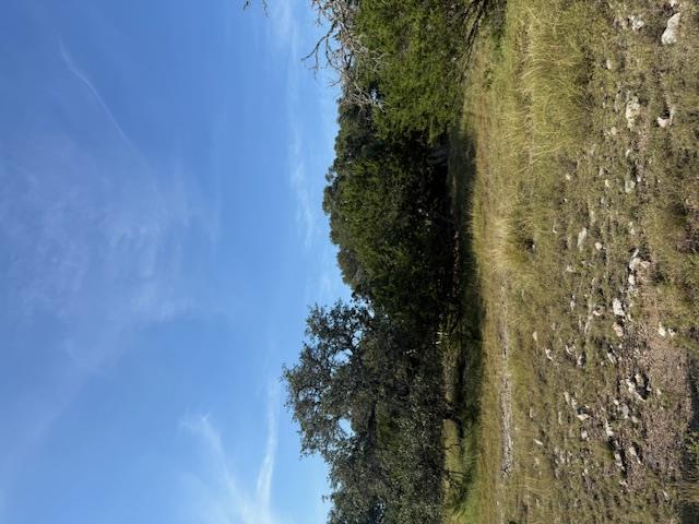 Fredericksburg, Texas, 78624, United States, 3 Bedrooms Bedrooms, ,2 BathroomsBathrooms,Residential,For Sale,1984349