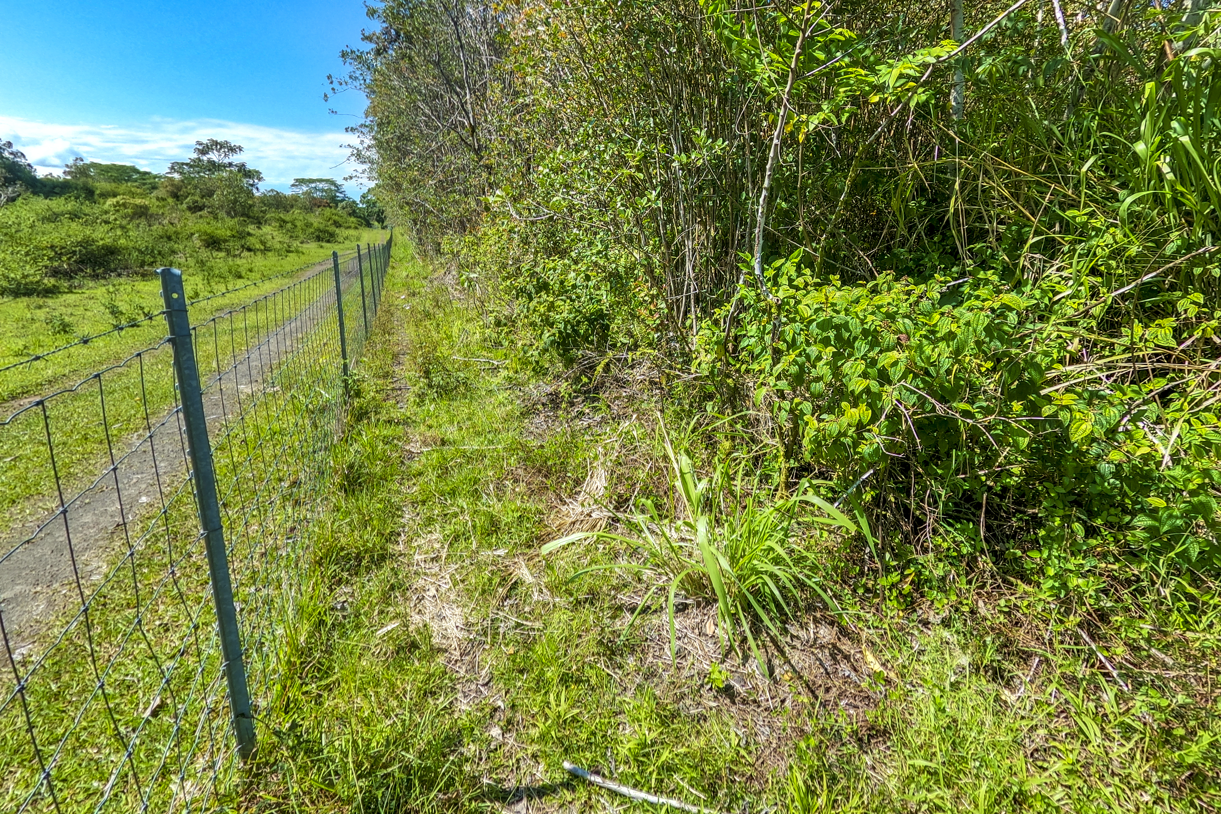  17-820 Manaolana Road, Kurtistown, HI, 96760 - 物件實景