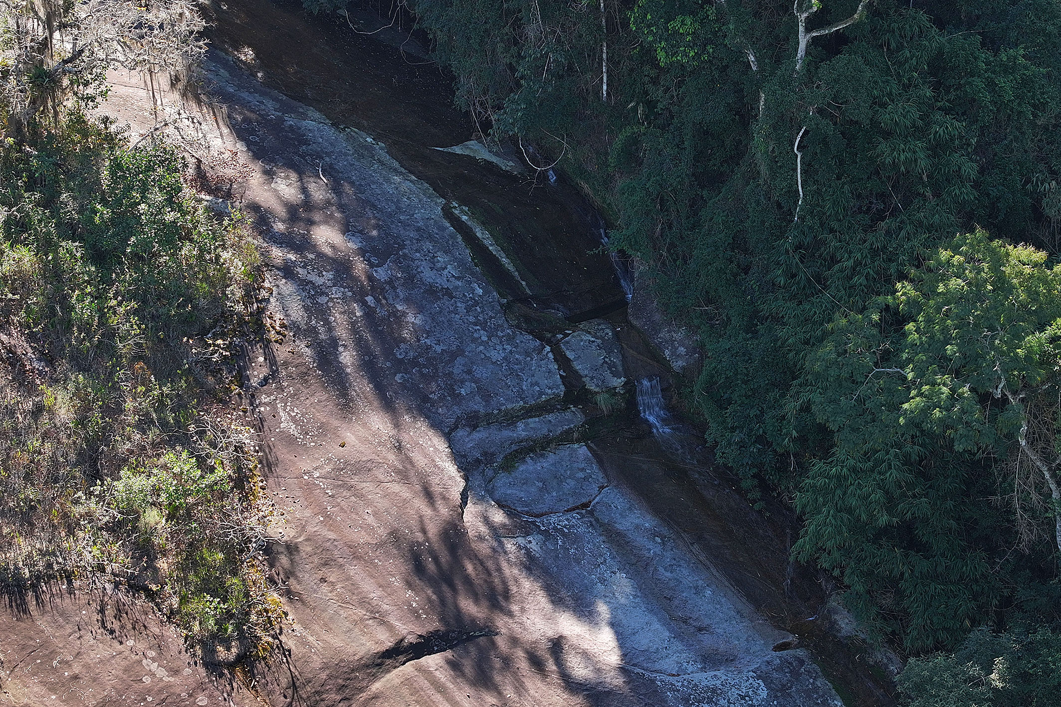  Estate surrounded by nature with private waterfall in Araras - 物件實景