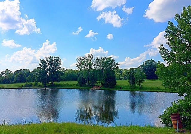Reidsville, North Carolina, 27320, United States, ,Residential,For Sale,1823569