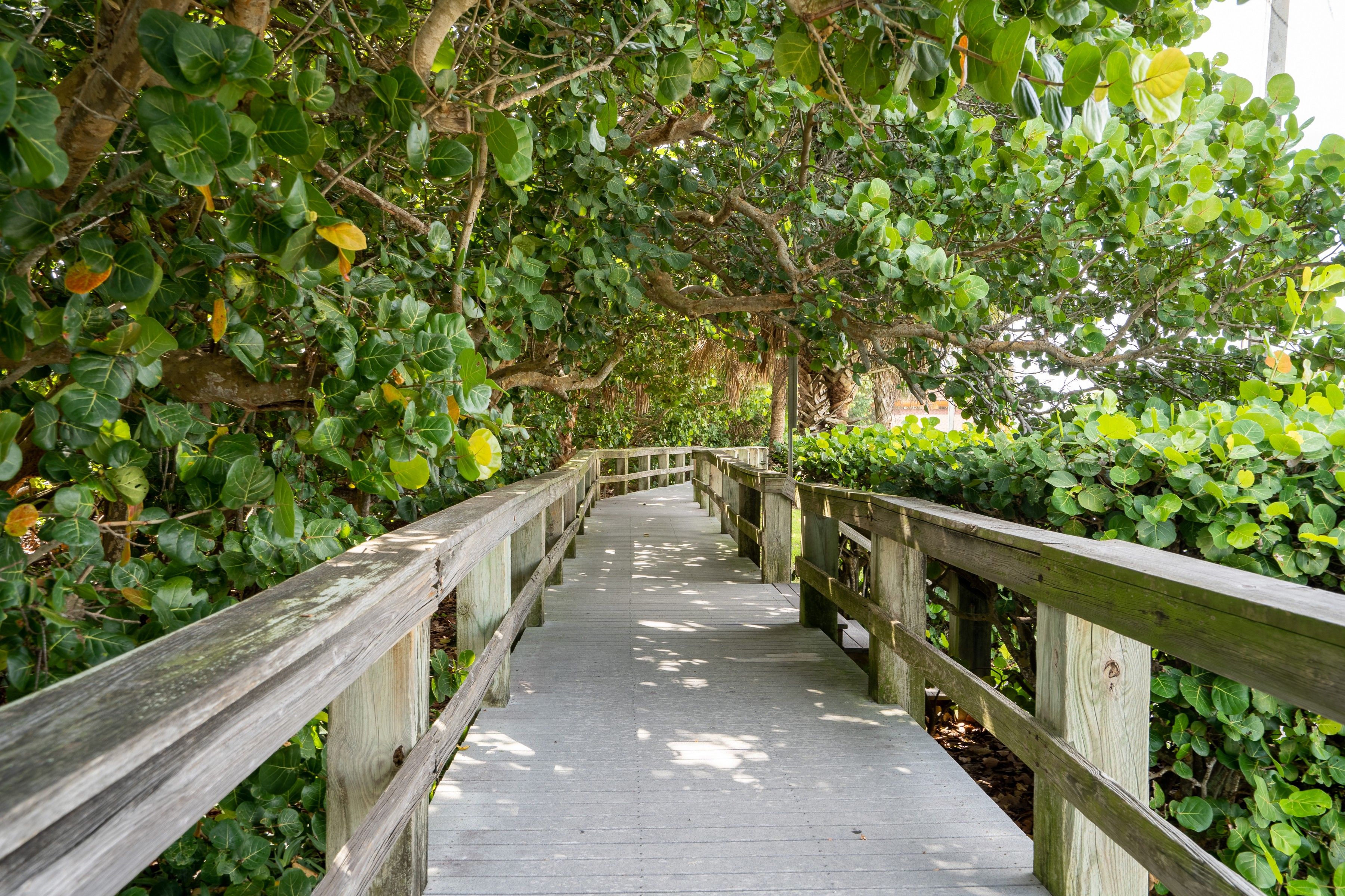  1209 S Riverside Drive, Indialantic, FL, 32903 - 物件實景