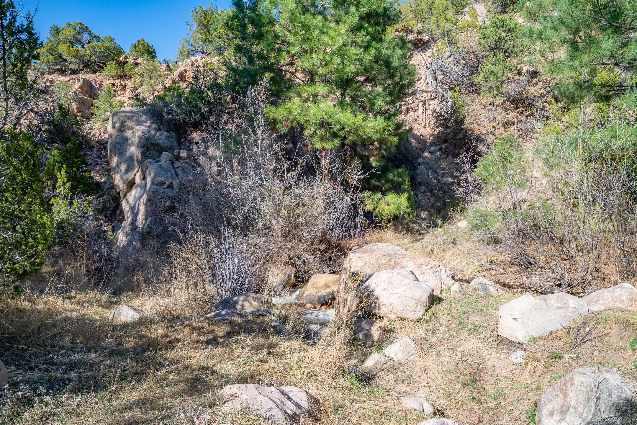  5.9 Acre Lot Camino Del Canon - 物件實景