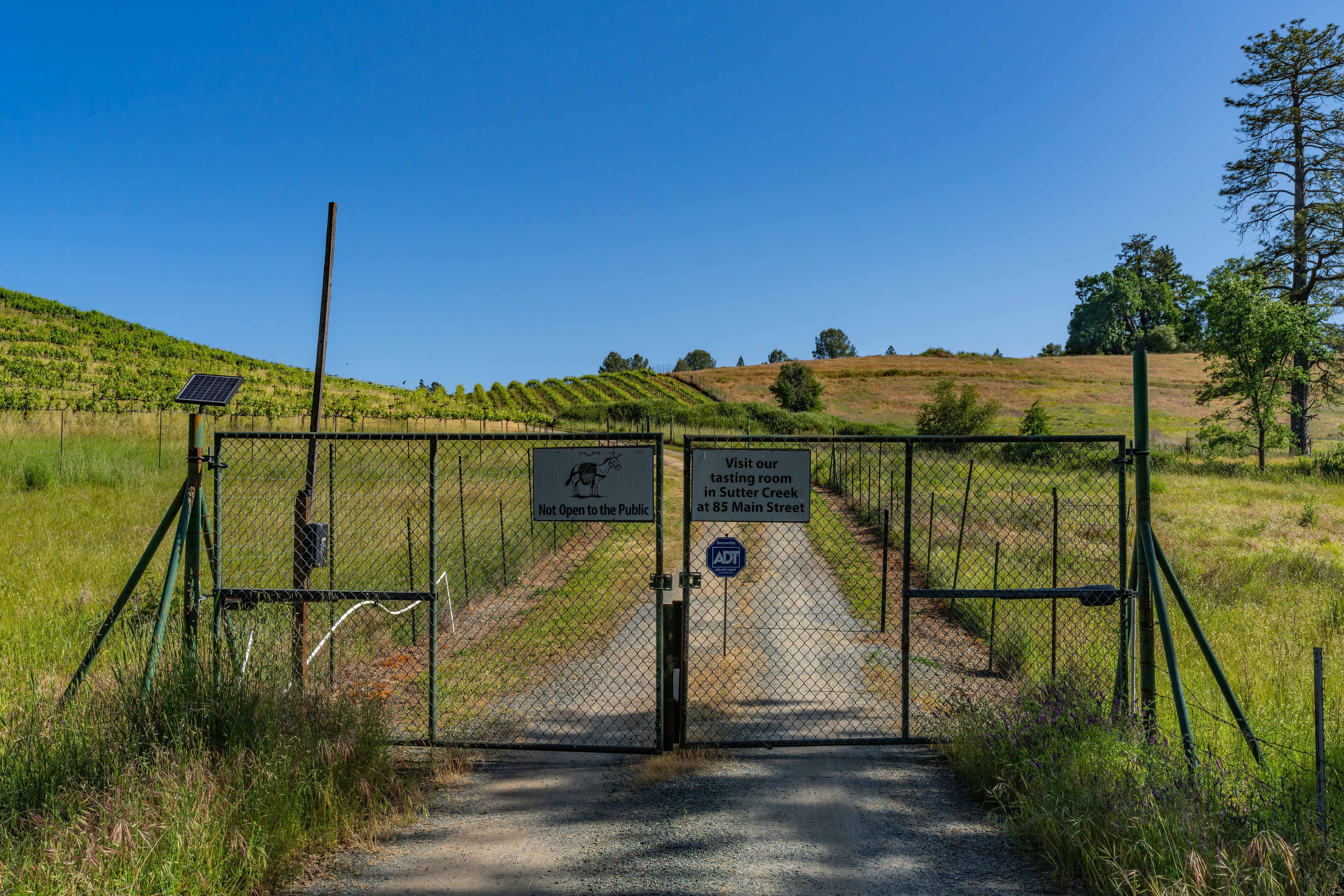  22 Acres • Panoramic Views • Unmatched Privacy • Idyllic Ranch Estate - 物件實景