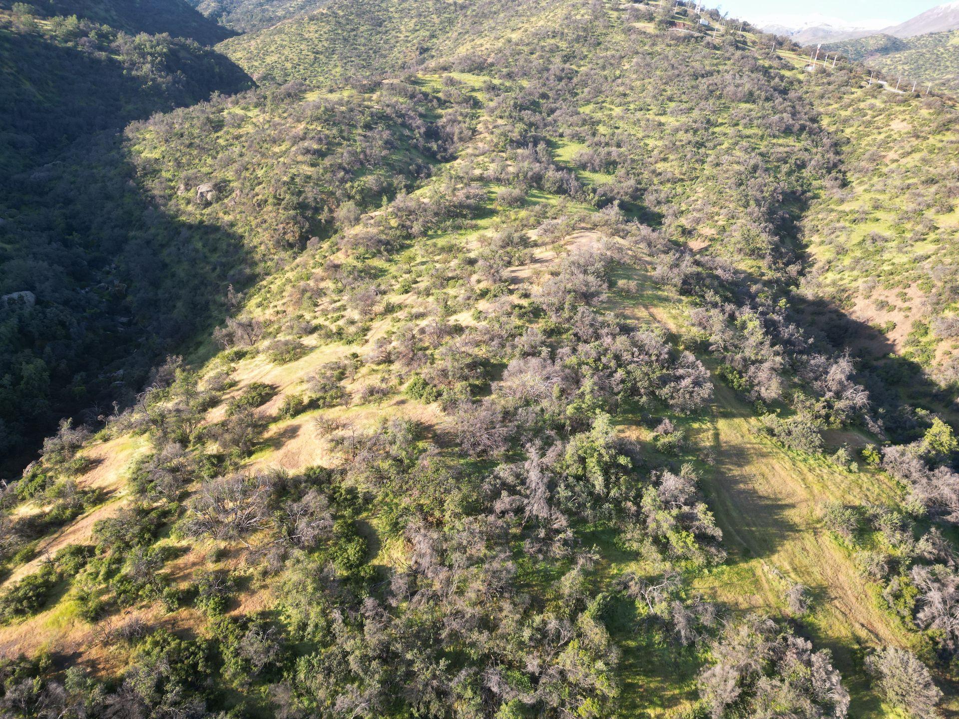 Lo Barnechea, Chile, ,Land,For Sale,1926302