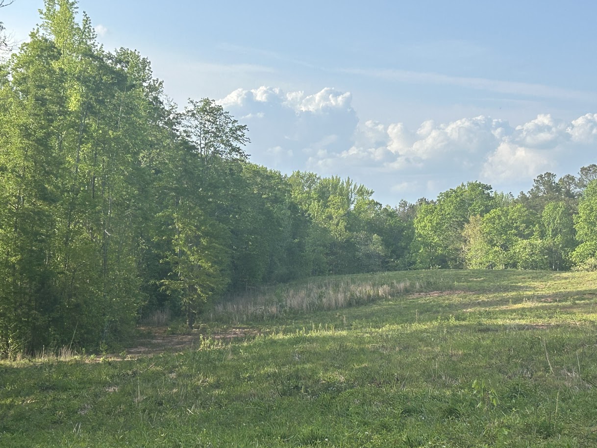 Roopville, Georgia, 30170, United States, ,Residential,For Sale,1780793