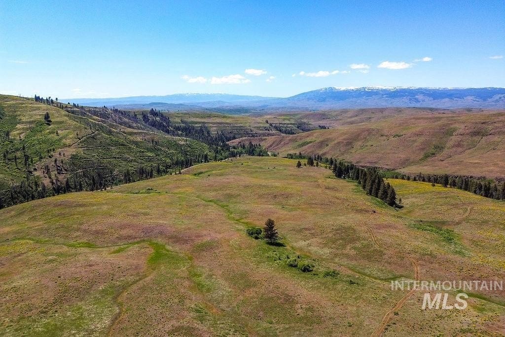 Council, Idaho, 83612, United States, ,Residential,For Sale,1862004
