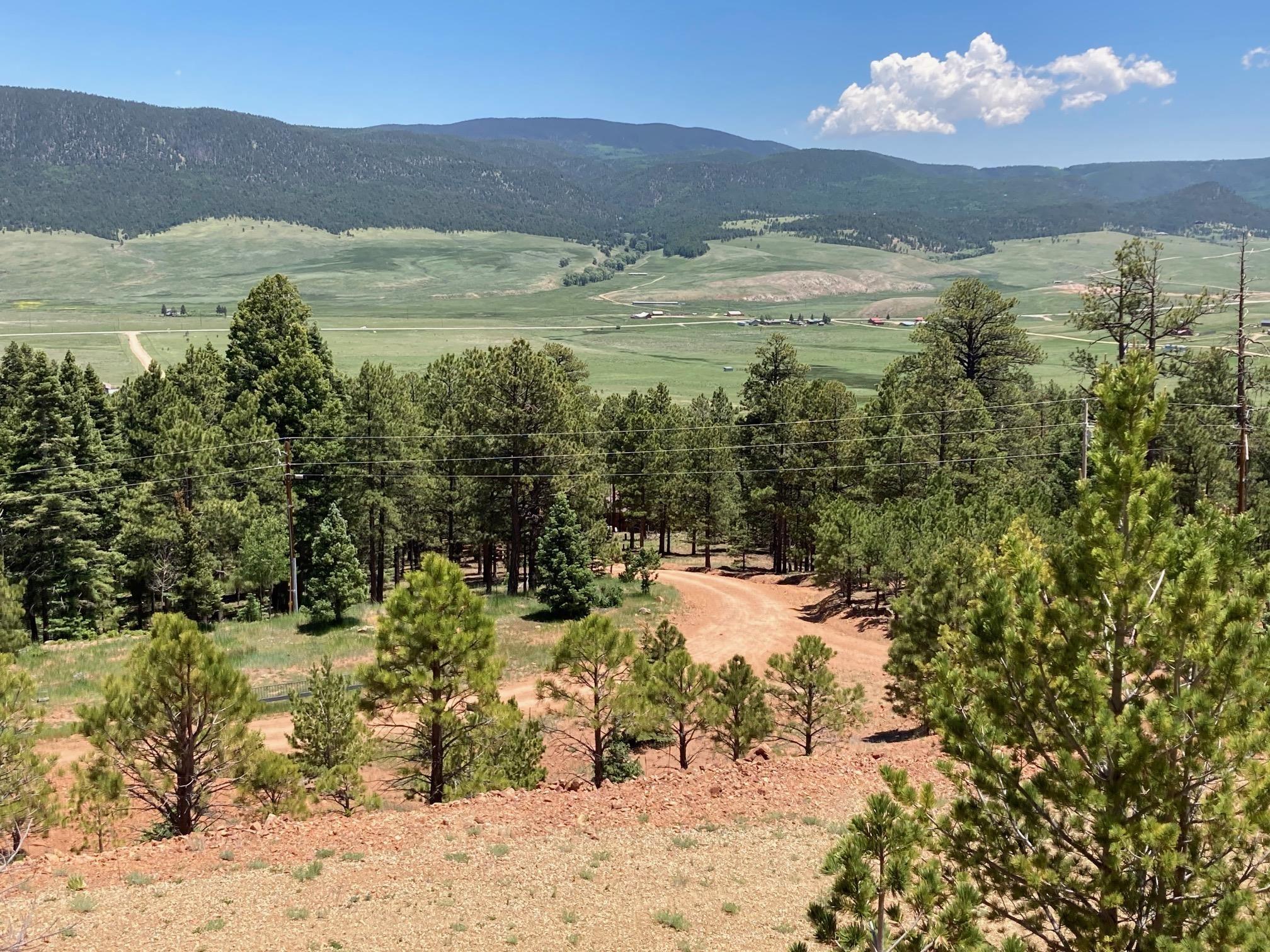 Eagle Nest, New Mexico, 87718, United States, ,Land,For Sale,1752253