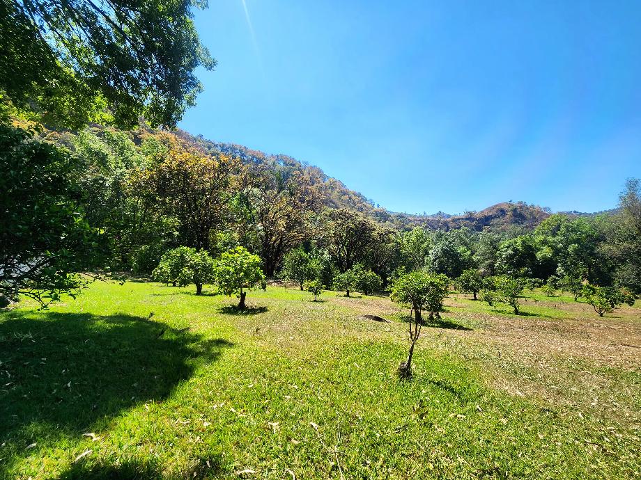 Temascaltepec, Estado de méxico, 51300, Mexico, 7 Bedrooms Bedrooms, ,7 BathroomsBathrooms,Residential,For Sale,1942225