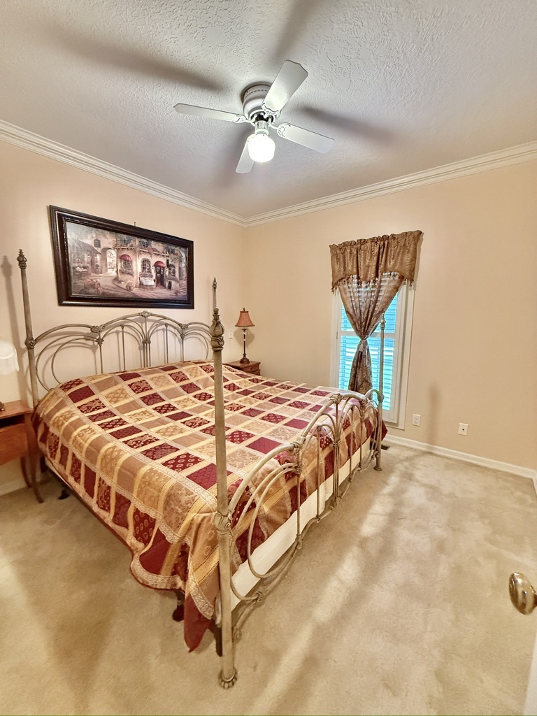 Union City, Tennessee, 38261, United States, 5 Bedrooms Bedrooms, ,6 BathroomsBathrooms,Residential,For Sale,1974158