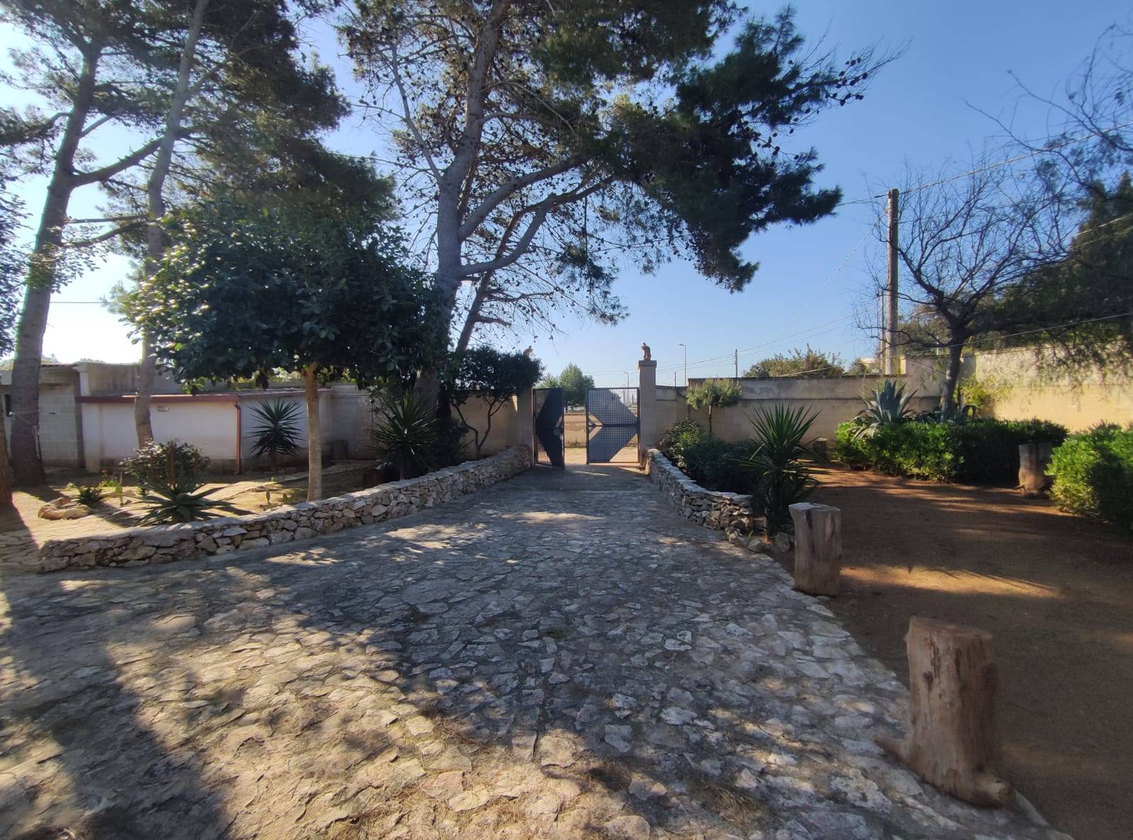 Manduria, Taranto, 74024, IT, 6 Bedrooms Bedrooms, ,5 BathroomsBathrooms,Residential,For Sale,1728528
