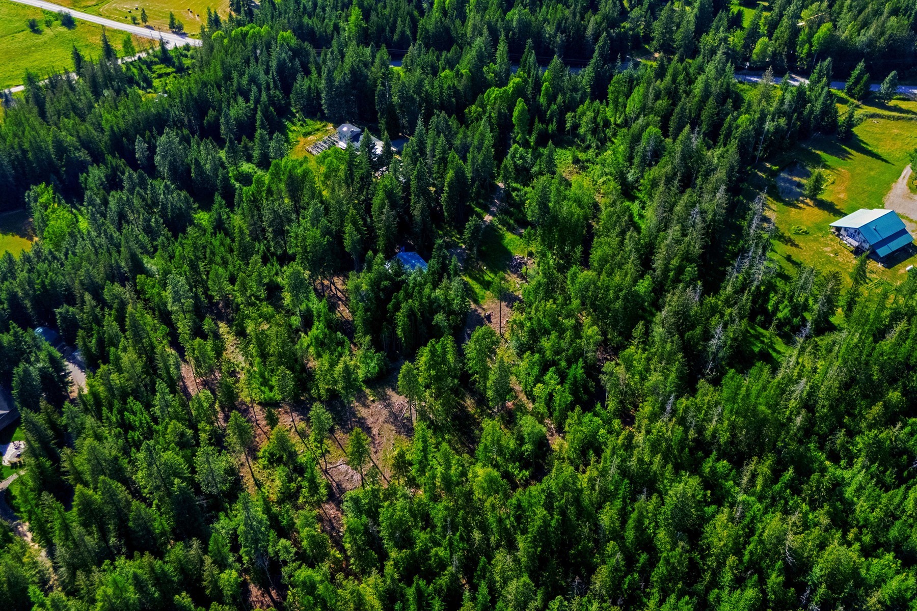  113 Tanager Lane - 物件實景