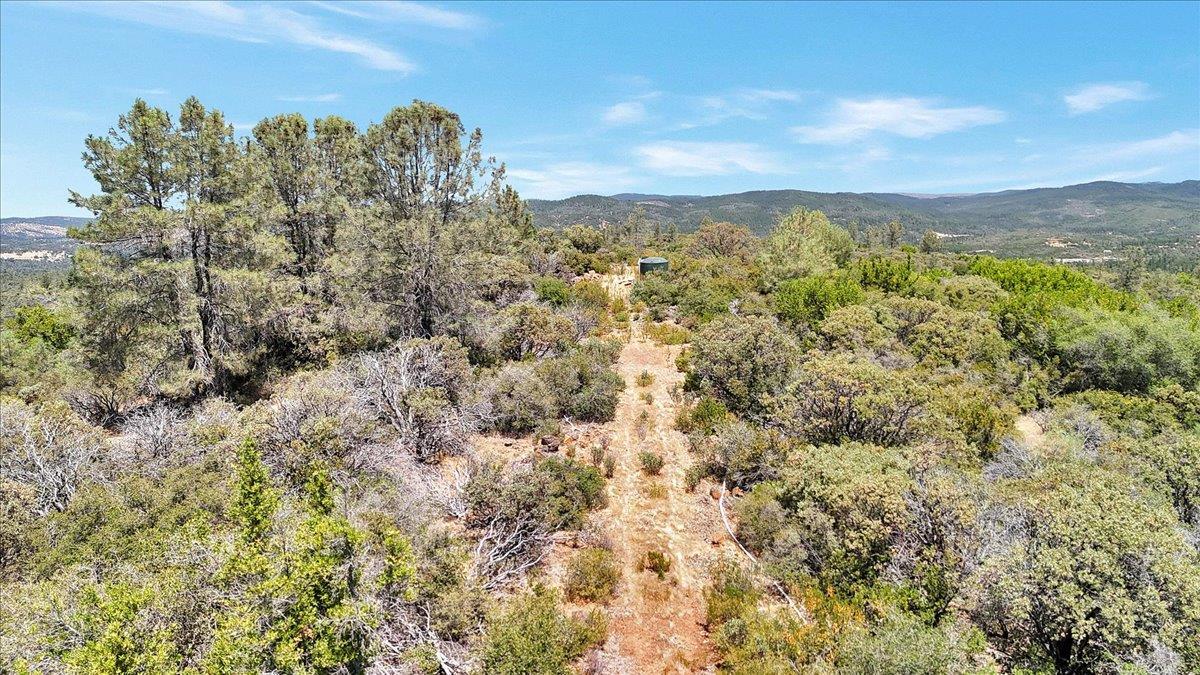 Oregon House, California, 95962, United States, ,Land,For Sale,1975767