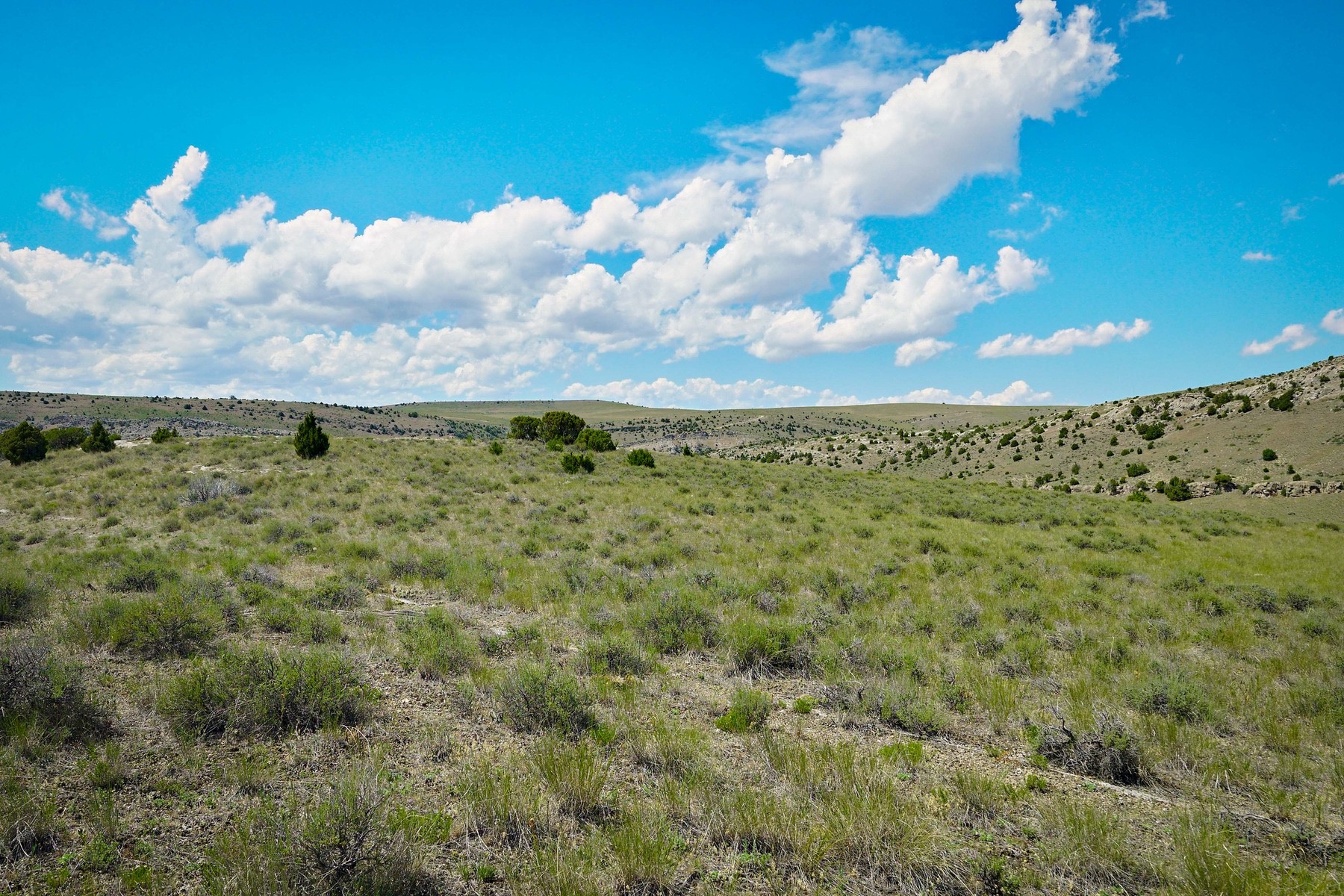  Lot 33 & 39 Gallatin River Ranch - 物件實景