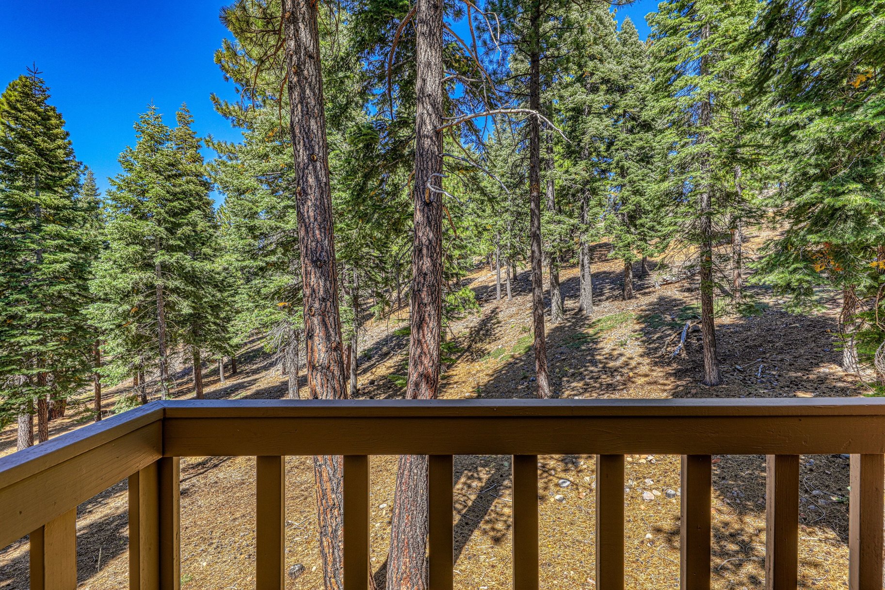  The Northstar Mountain Retreat in Truckee - 物件實景