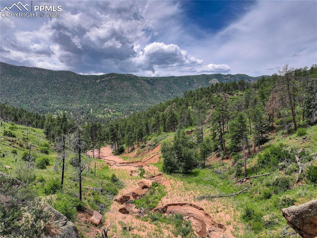 Cascade, Colorado, 80809, United States, ,Land,For Sale,1997132