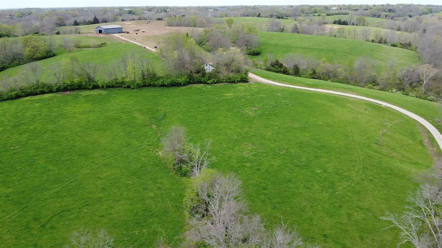 1400 Curtis Pike, Richmond, Kentucky, 40475, United States, ,Land,For Sale,1400 Curtis Pike,1616978