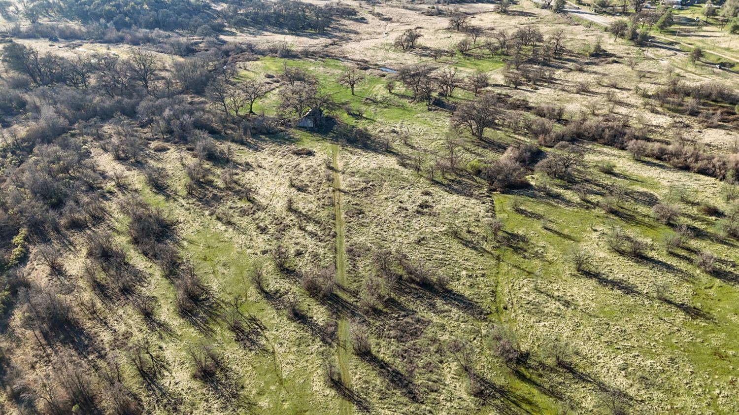 Cool, California, 95614, United States, ,Land,For Sale,1994251