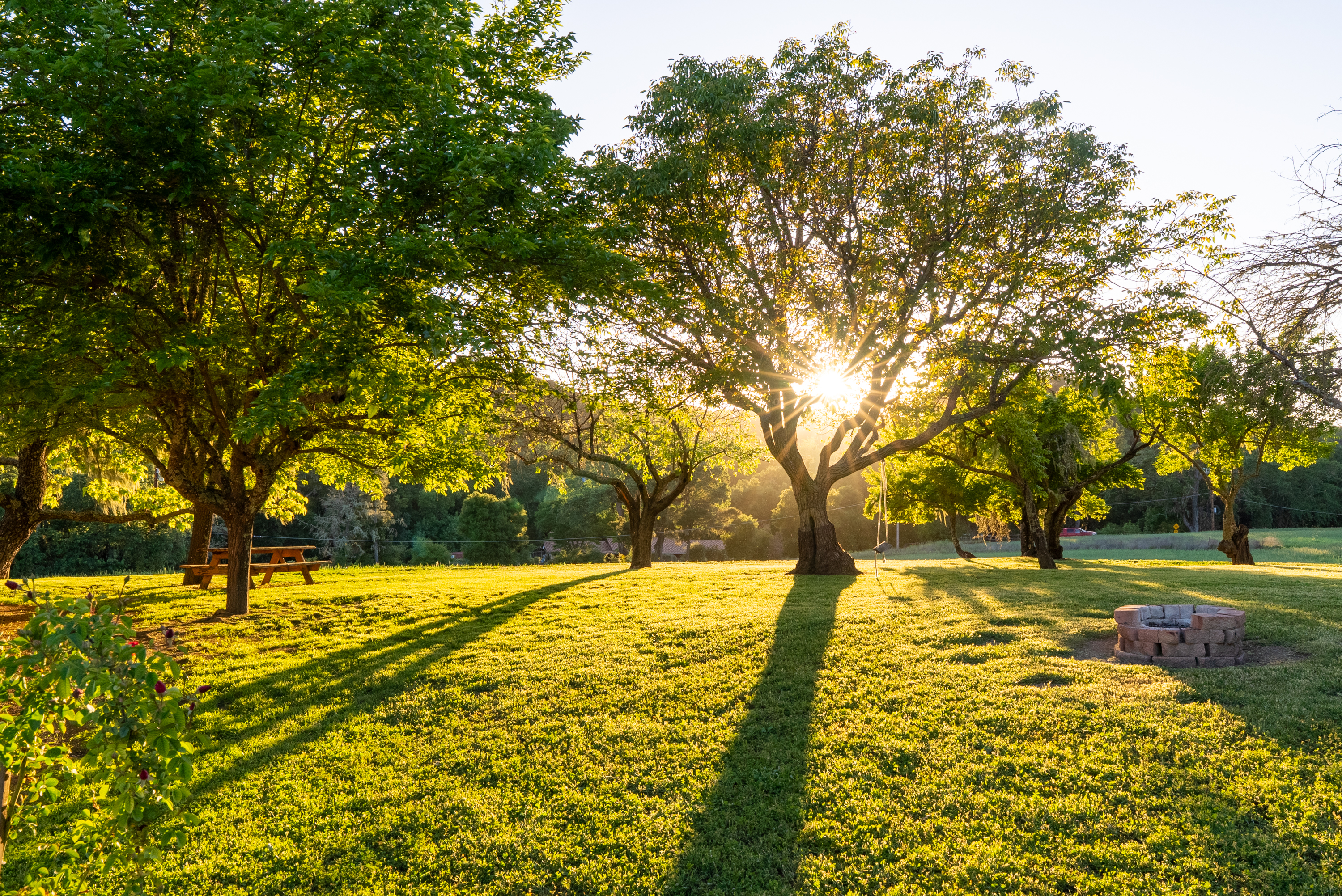 5250 & 5260 - 物件實景