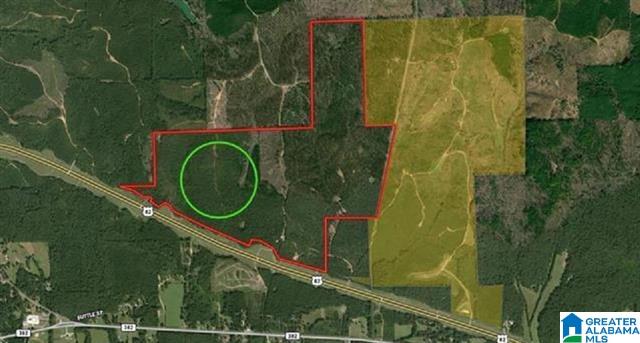 Centreville, Alabama, 35042, United States, ,Land,For Sale,2010430