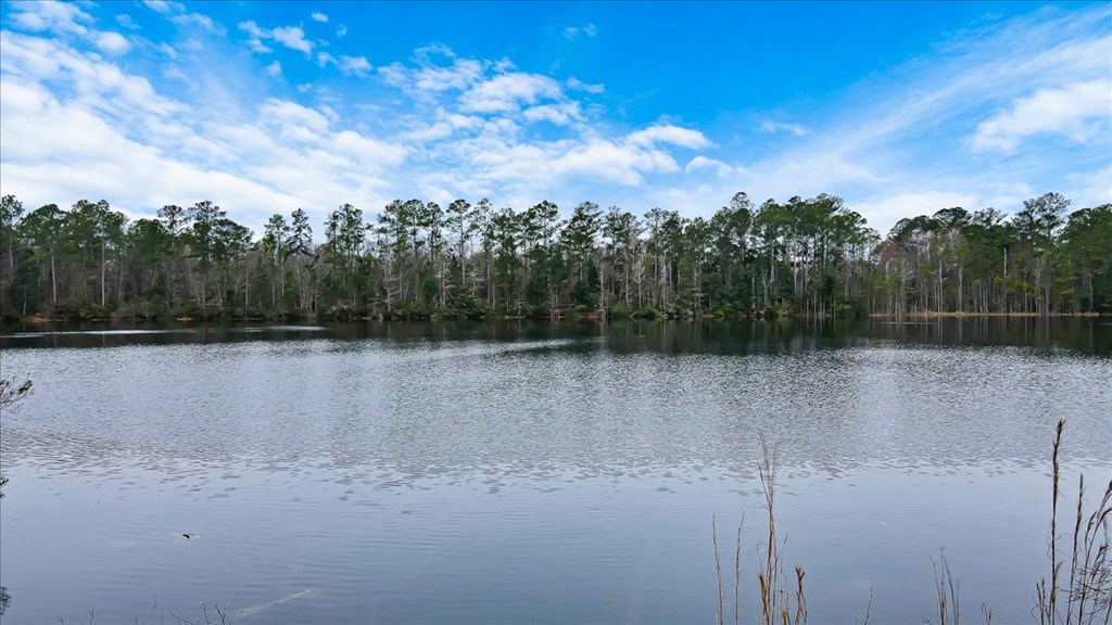156 AC Us Hwy 17 Hwy, Townsend, Georgia, 31331, United States, ,Land,For Sale,156 AC Us Hwy 17 Hwy,1472997