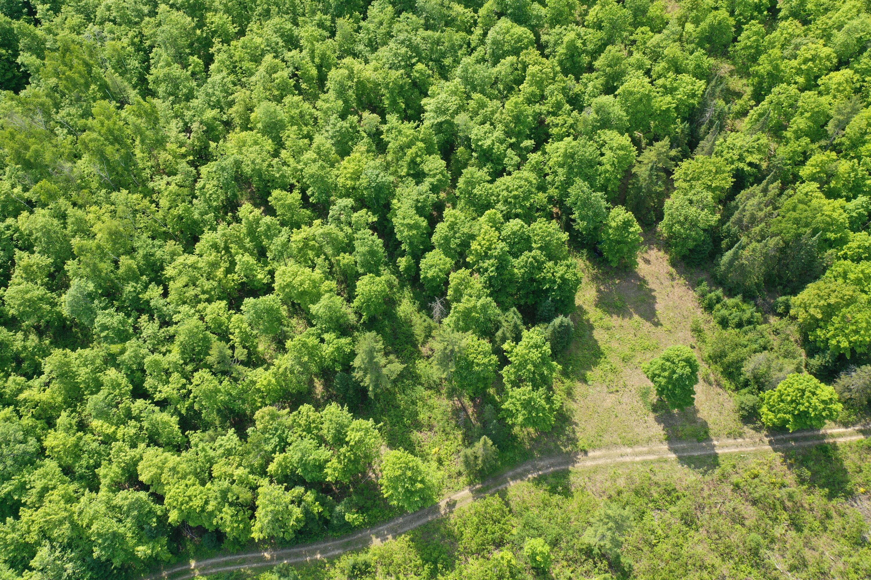 3625 E Simmons Rd RD, Hessel, Michigan, 49745, United States, ,Land,For Sale,3625 E Simmons Rd RD,1619252