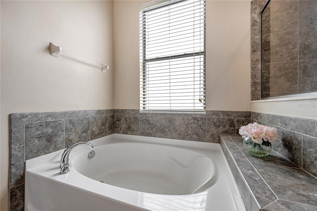 Wesley Chapel, Florida, 33545, United States, 5 Bedrooms Bedrooms, ,3 BathroomsBathrooms,Residential,For Sale,1941692