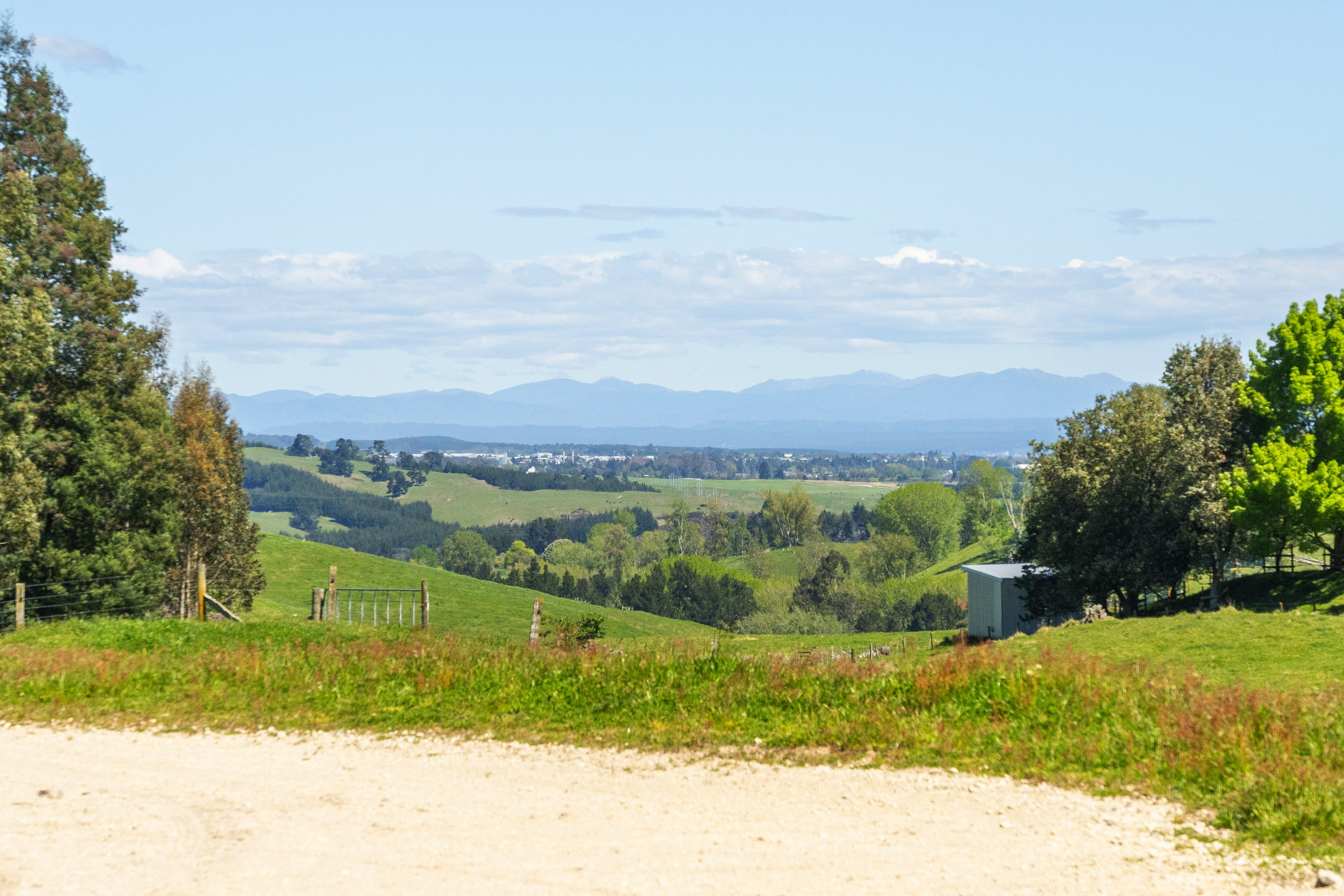  93 Oak Drive, Wairakei - 物件實景
