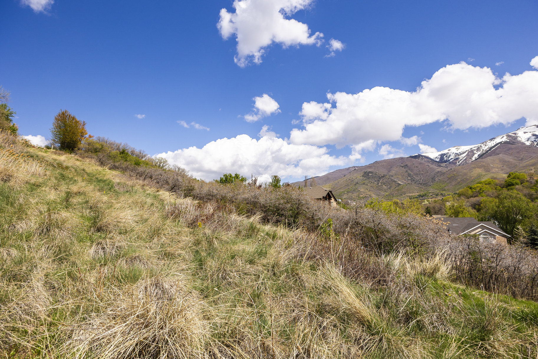 1.47 Acre Lot In East Layton With Endless Possibilities - 物件實景