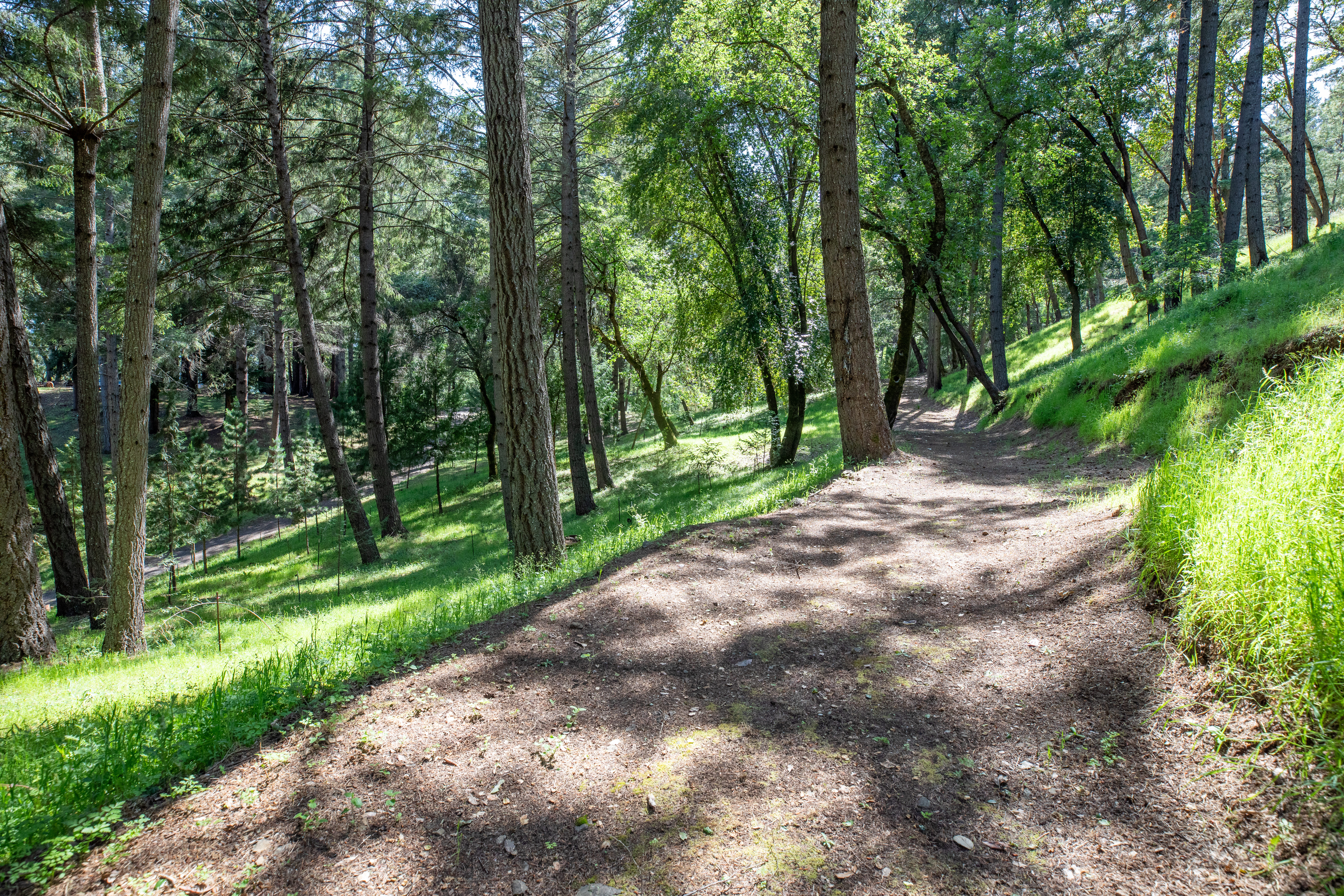  18900 Armstrong Woods Road, Guerneville, CA 95446 - 物件實景