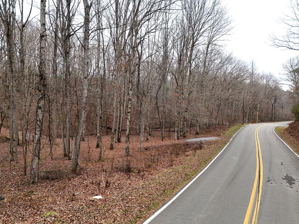 Blue Ridge, Georgia, 30513, United States, ,Land,For Sale,1859049