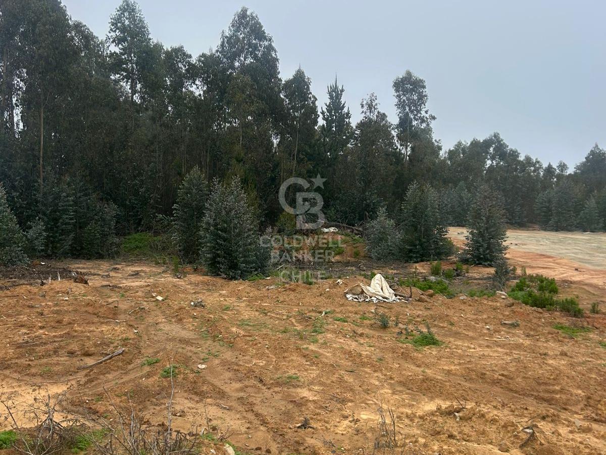 Valparaíso, Chile, ,Land,For Sale,1955048