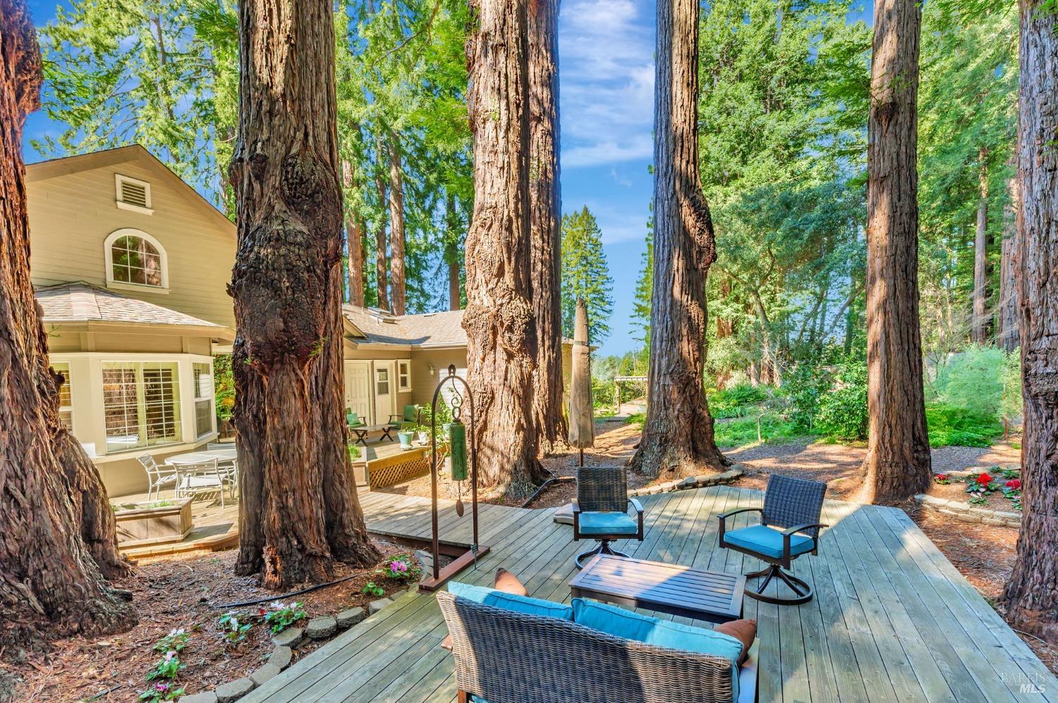 Sebastopol, California, 95472, United States, 4 Bedrooms Bedrooms, ,3 BathroomsBathrooms,Residential,For Sale,1989317