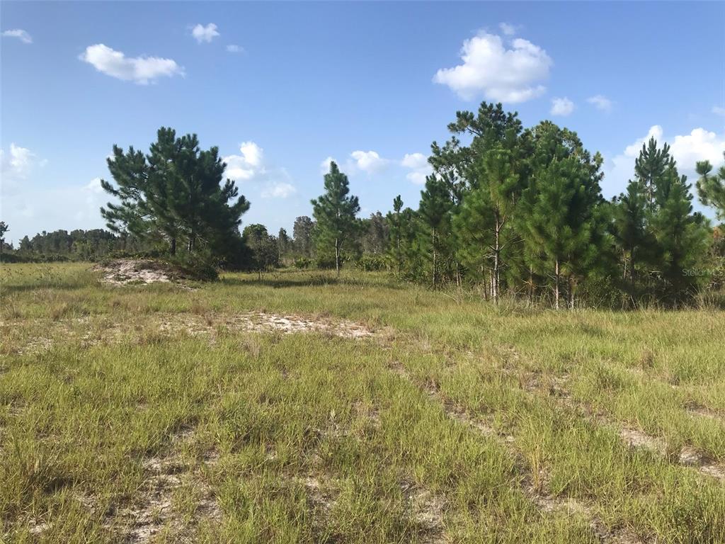 Punta Gorda, Florida, 33982, United States, ,Land,For Sale,1806148