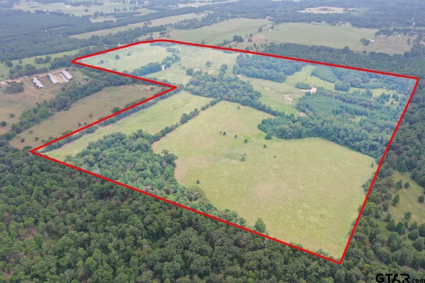 Pittsburg, Texas, 75686, United States, ,Land,For Sale,1976624