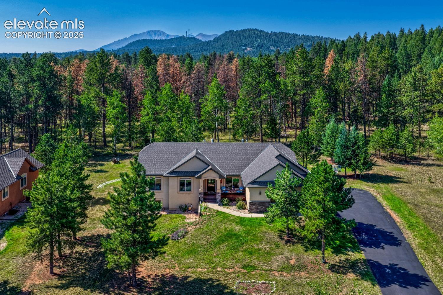 Hawkridge Dr, Woodland Park, CO 80863 #1