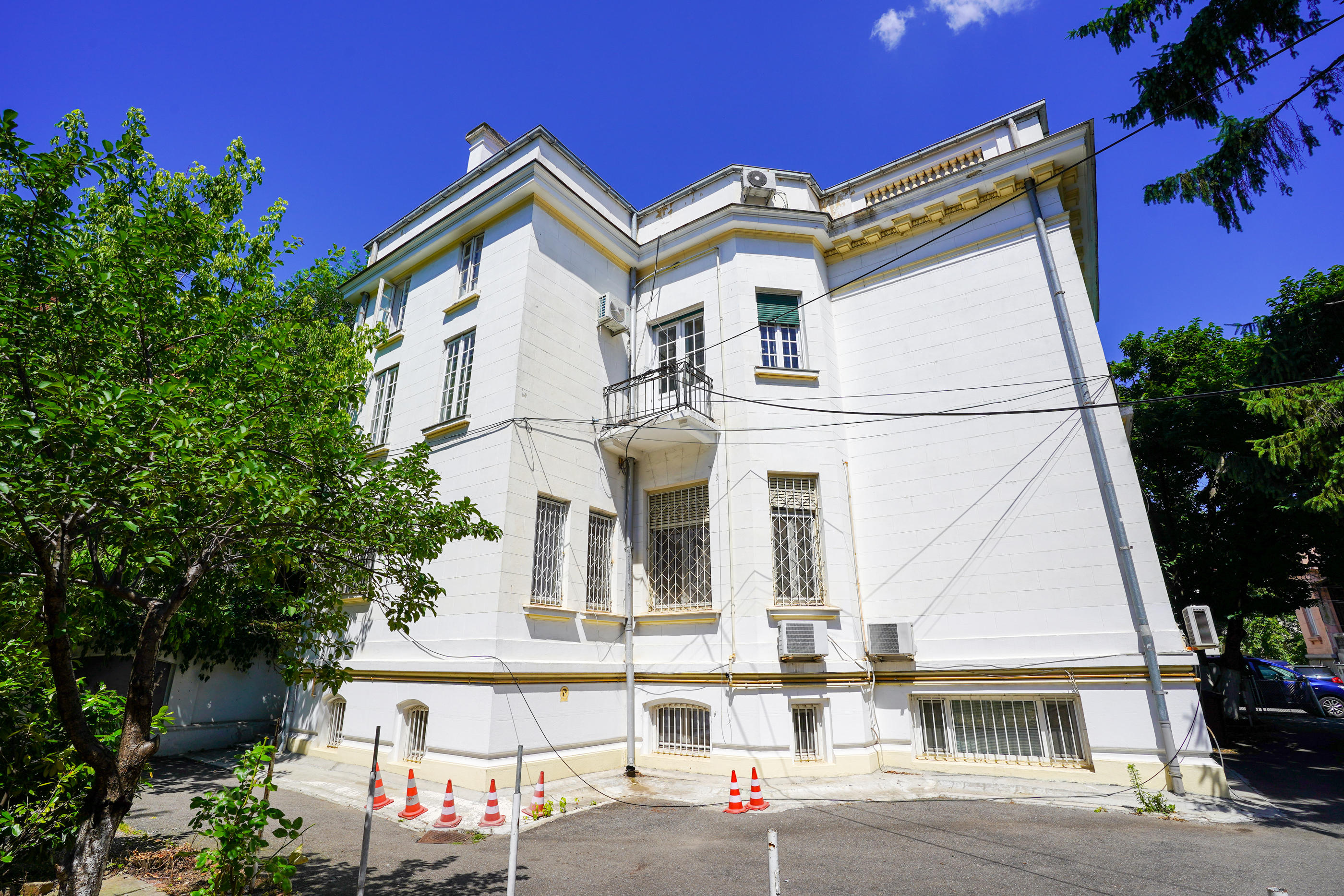  A Collector’s Residence on Kiseleff – The Architectural Legacy of Burcu & Marcu - 物件實景