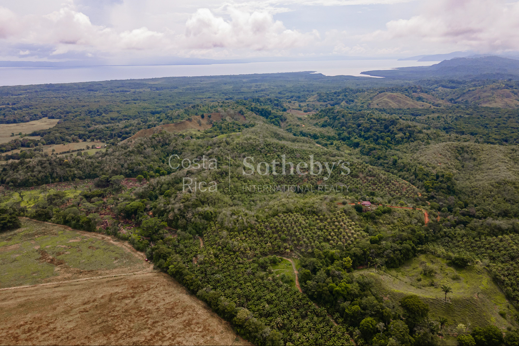  Ocean and River Views in Pristine South Costa Rica - 物件實景