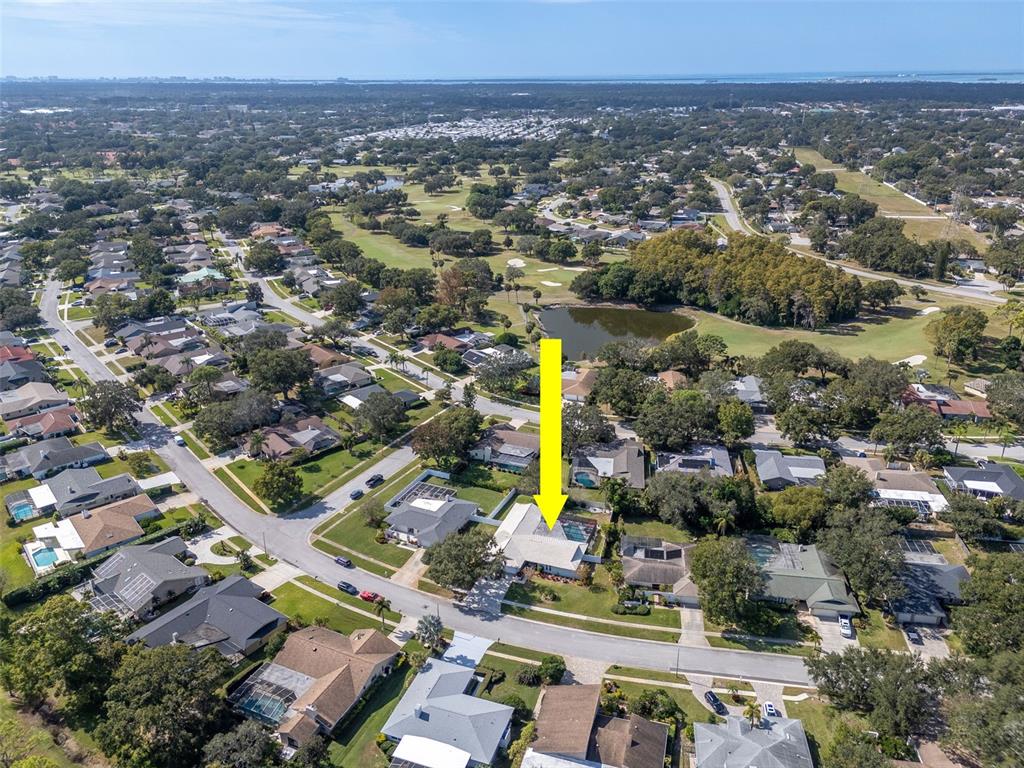 Clearwater, Florida, 33761, United States, 5 Bedrooms Bedrooms, ,3 BathroomsBathrooms,Residential,For Sale,1991990