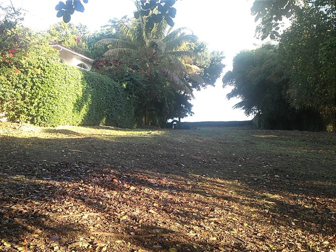 Sosua, DO, ,Land,For Sale,1164552