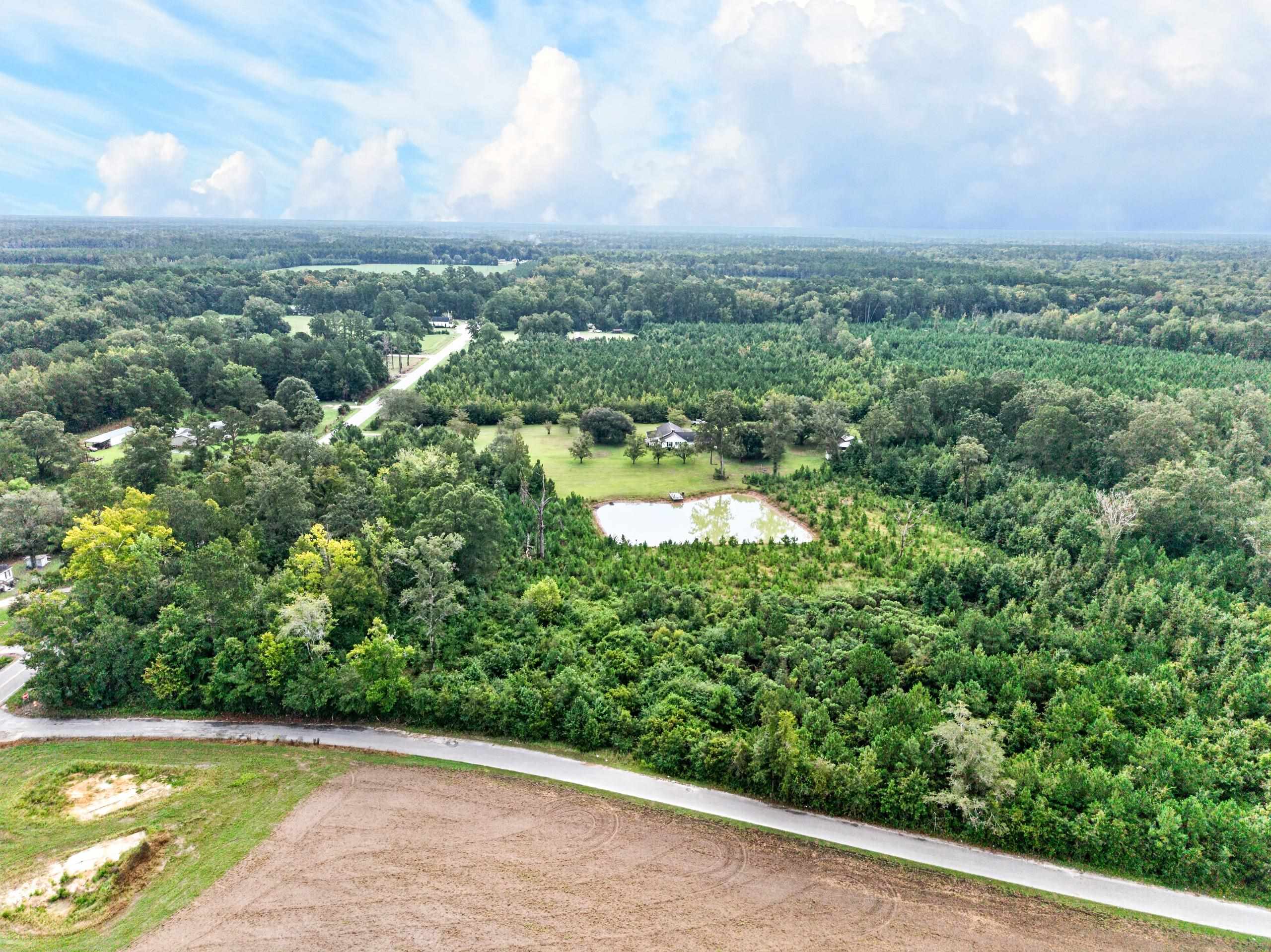  8812 Thurgood Marshall Hwy  Andrews, SC - 物件實景