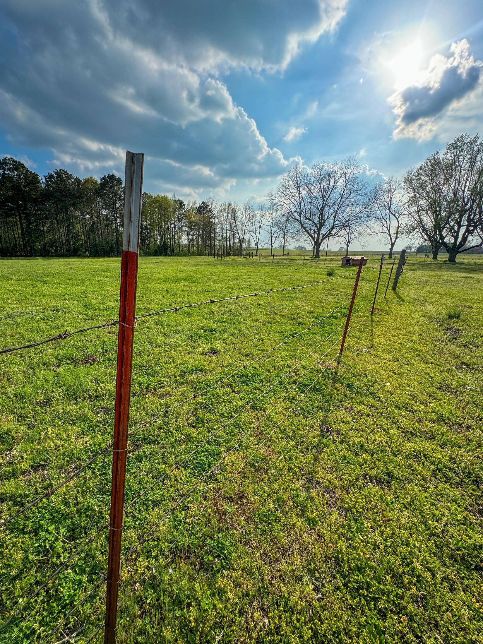 Bivins, Texas, 75555, United States, ,Residential,For Sale,1755933