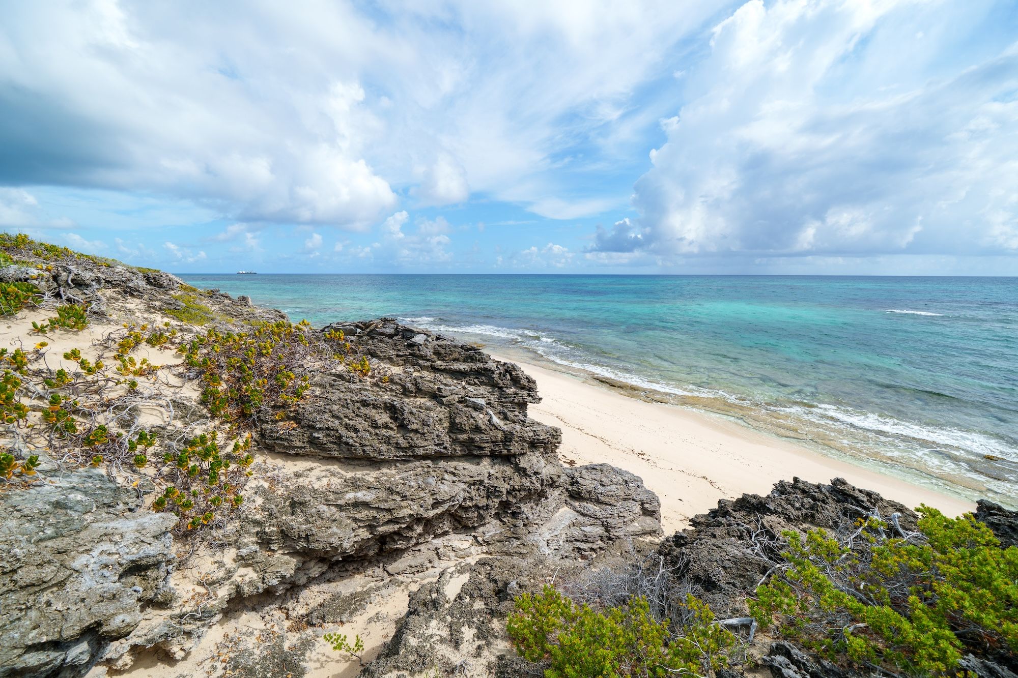  25.38 Acres Elizabeth Island - 物件實景