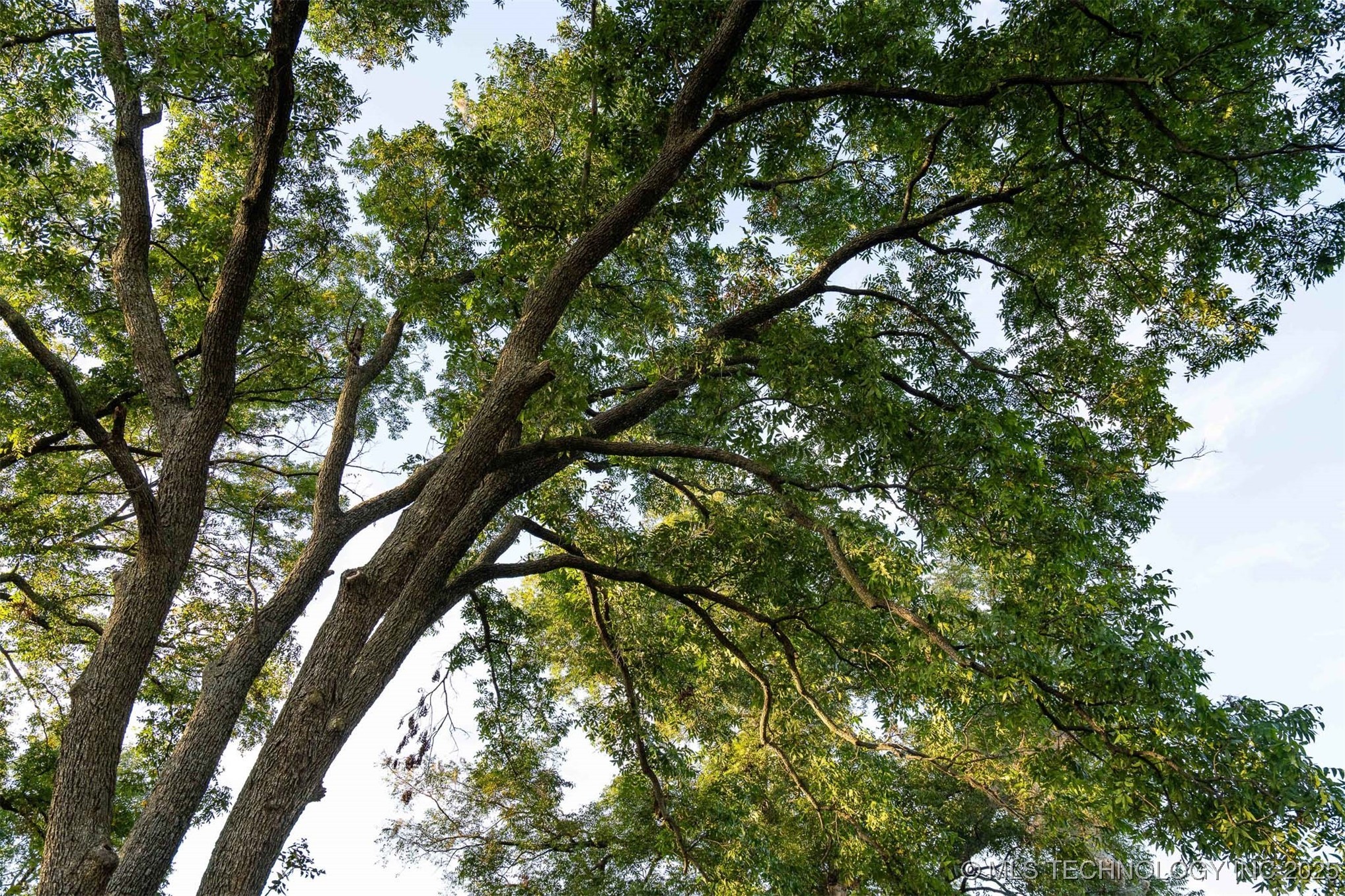 Haskell, Oklahoma, 74436, United States, ,Residential,For Sale,1989119